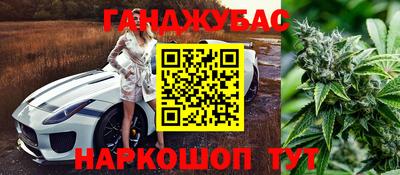 стаф Будённовск