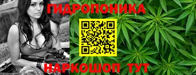 стаф Будённовск