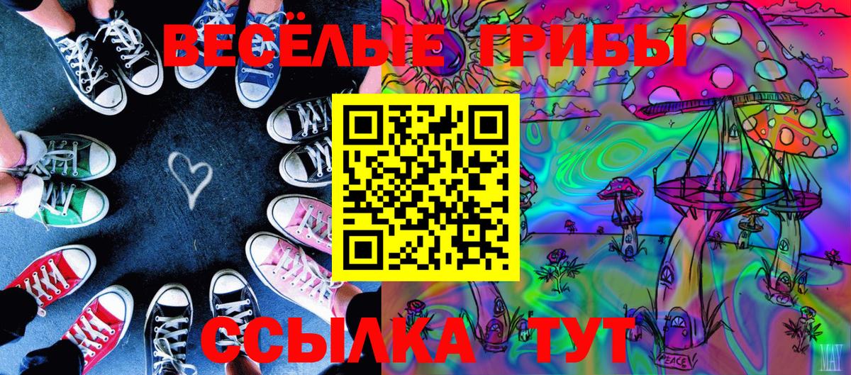 Псилоцибиновые грибы Psilocybe  даркнет сайт  Коммунар  Вход с VPN 